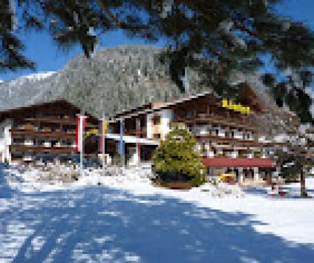 Hotel Hotel Almhof Danler_winter Hotel Hotel Almhof Danler_winter