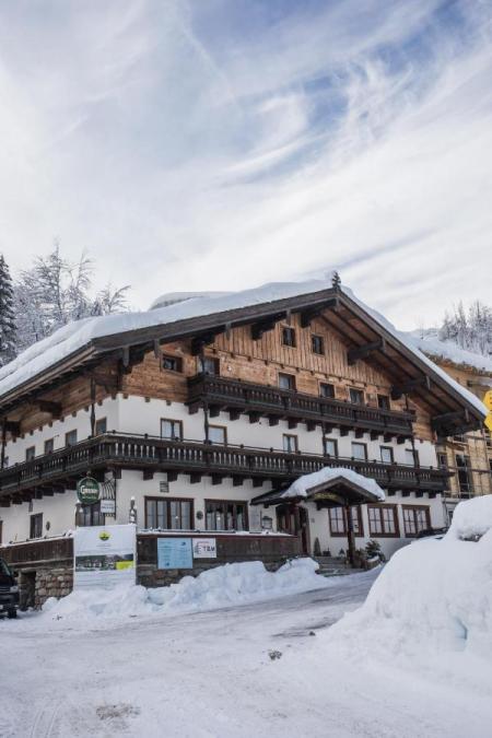 Hotel Hotel Friedlwirt - Kraftplatz Natur_winter Hotel Hotel Friedlwirt - Kraftplatz Natur_winter