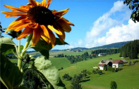 Bauernhof Diex