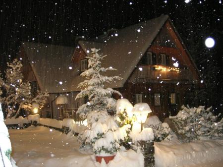 Gasthof / Restaurant Gasthaus Wassermann_winter Gasthof / Restaurant Gasthaus Wassermann_winter