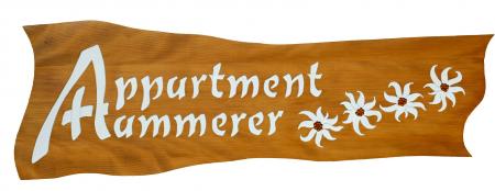 Appartement Ferienwohnung Appartment Hammerer_winter Appartement Ferienwohnung Appartment Hammerer_winter