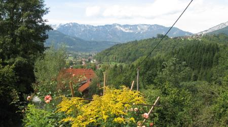 Appartement Ferienwohnung Bad Goisern