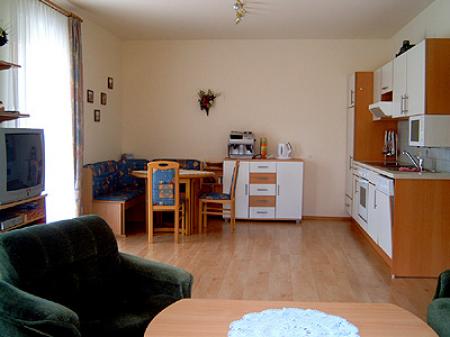 Appartement Ferienwohnung Ferienhaus TIROL in Bad Waltersdorf/Steiermark_winter Appartement Ferienwohnung Ferienhaus TIROL in Bad Waltersdorf/Steiermark_winter