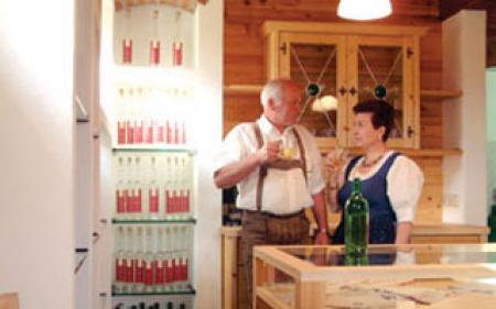 Appartement Ferienwohnung St. Ruprecht an der Raab