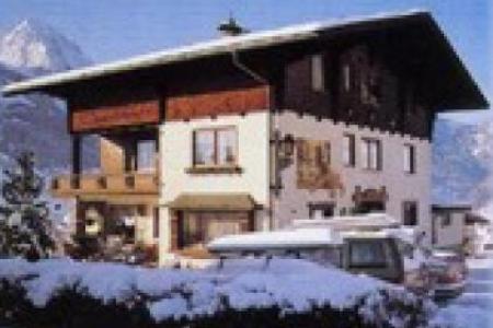 Appartement Ferienwohnung Appartementhaus Jägerheim_winter Appartement Ferienwohnung Appartementhaus Jägerheim_winter