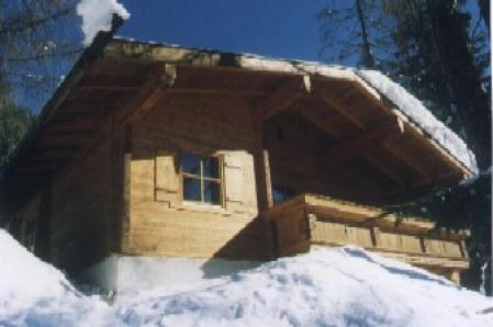 Ferienhaus Ferienchalet Ferienhäuser Ebner_winter Ferienhaus Ferienchalet Ferienhäuser Ebner_winter