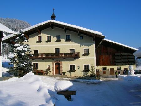 Appartement Ferienwohnung Palfnerhof_winter Appartement Ferienwohnung Palfnerhof_winter