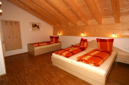 Appartement Ferienwohnung Alpina Appartements_winter Appartement Ferienwohnung Alpina Appartements_winter
