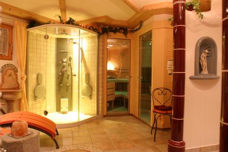 Appartement Ferienwohnung Finkenberg