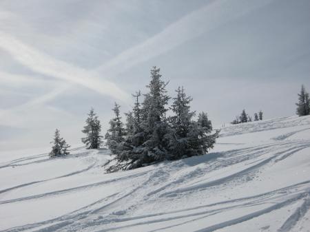 Bauernhof Going am Wilden Kaiser
