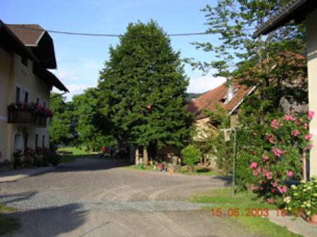 Bauernhof Prefelnighof - Ferienwohnungen und Camping am Bauernhof_winter Bauernhof Prefelnighof - Ferienwohnungen und Camping am Bauernhof_winter