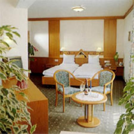 Hotel Hotel Herold_winter Hotel Hotel Herold_winter