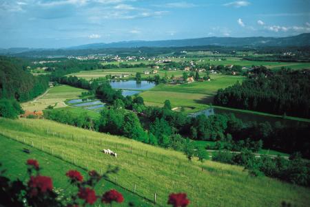 Hotel St. Peter im Sulmtal
