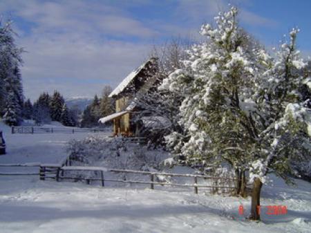 Bauernhof Bauernhof-und Hüttenurlaub Familie Mandl_winter Bauernhof Bauernhof-und Hüttenurlaub Familie Mandl_winter