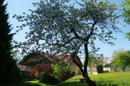 Bauernhof Neumarkt am Wallersee