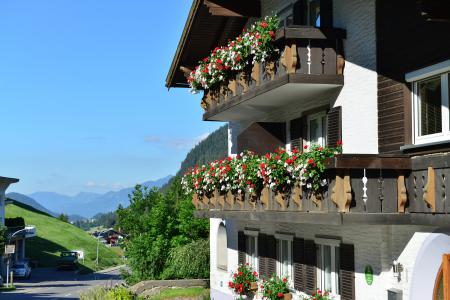 Appartement Ferienwohnung Mittelberg