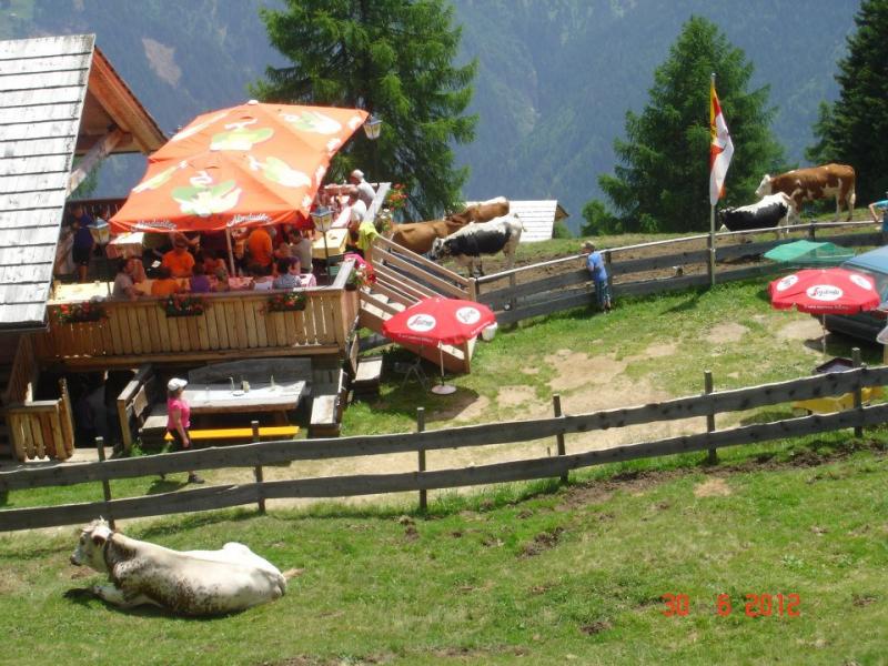 Almhütte Berghütte Fischen / Sportfischen