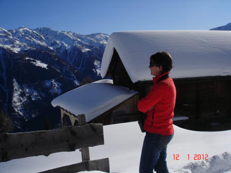 Almhütte Berghütte 56