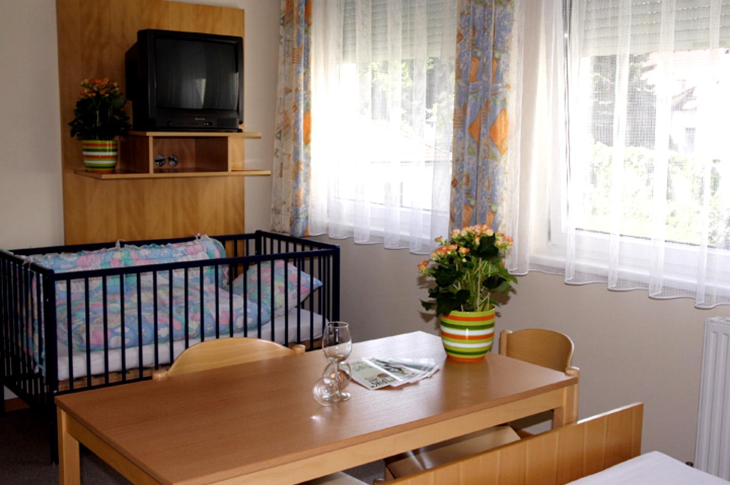 Pension Wellness-Bereich
