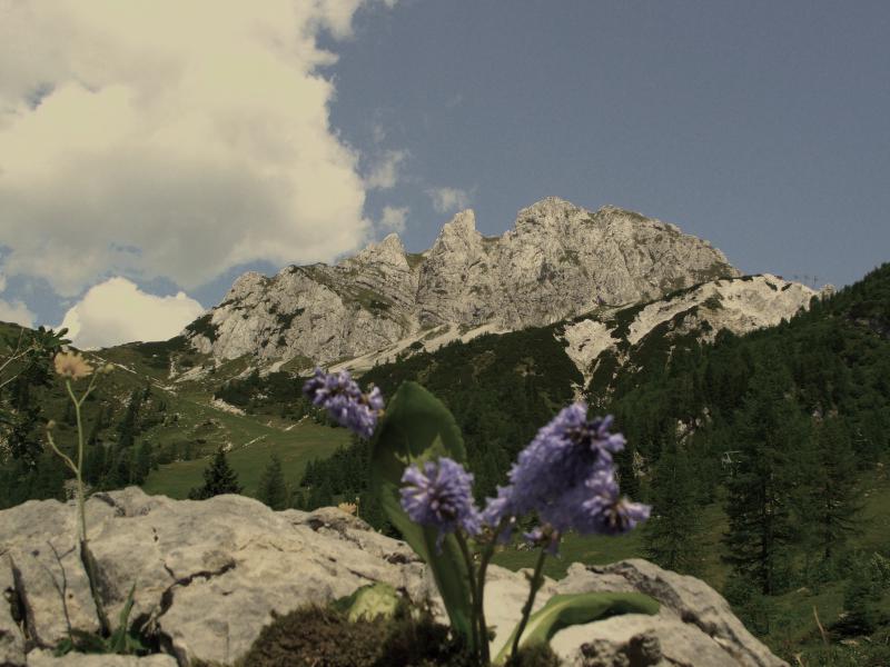 Pension 68