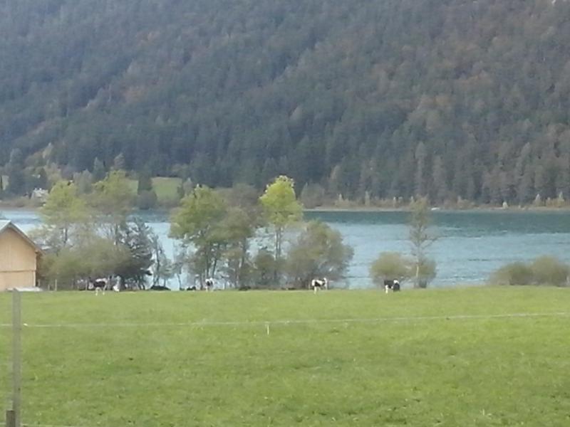 Appartement Ferienwohnung Direkt am See