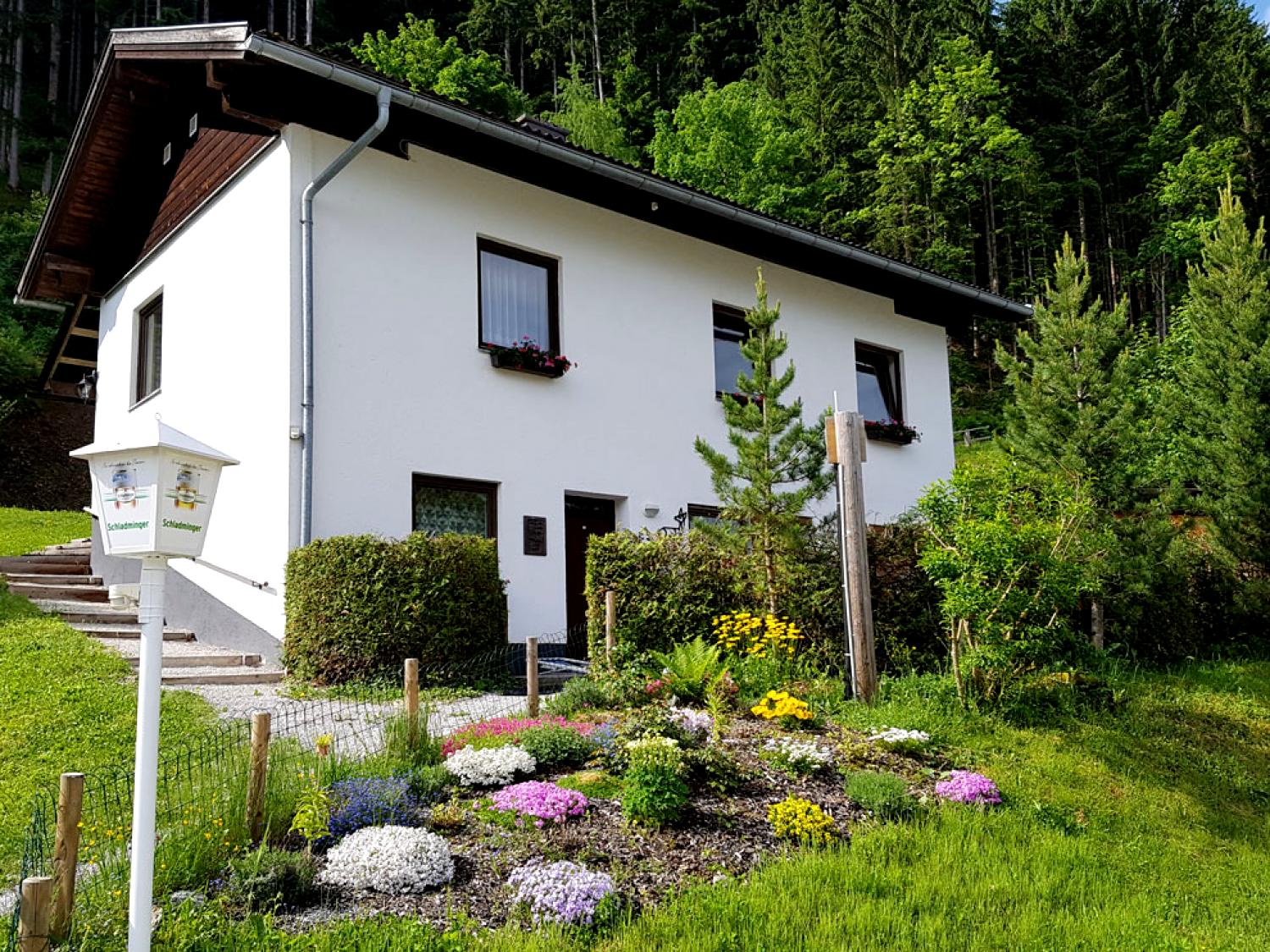 Almhütte Berghütte 3