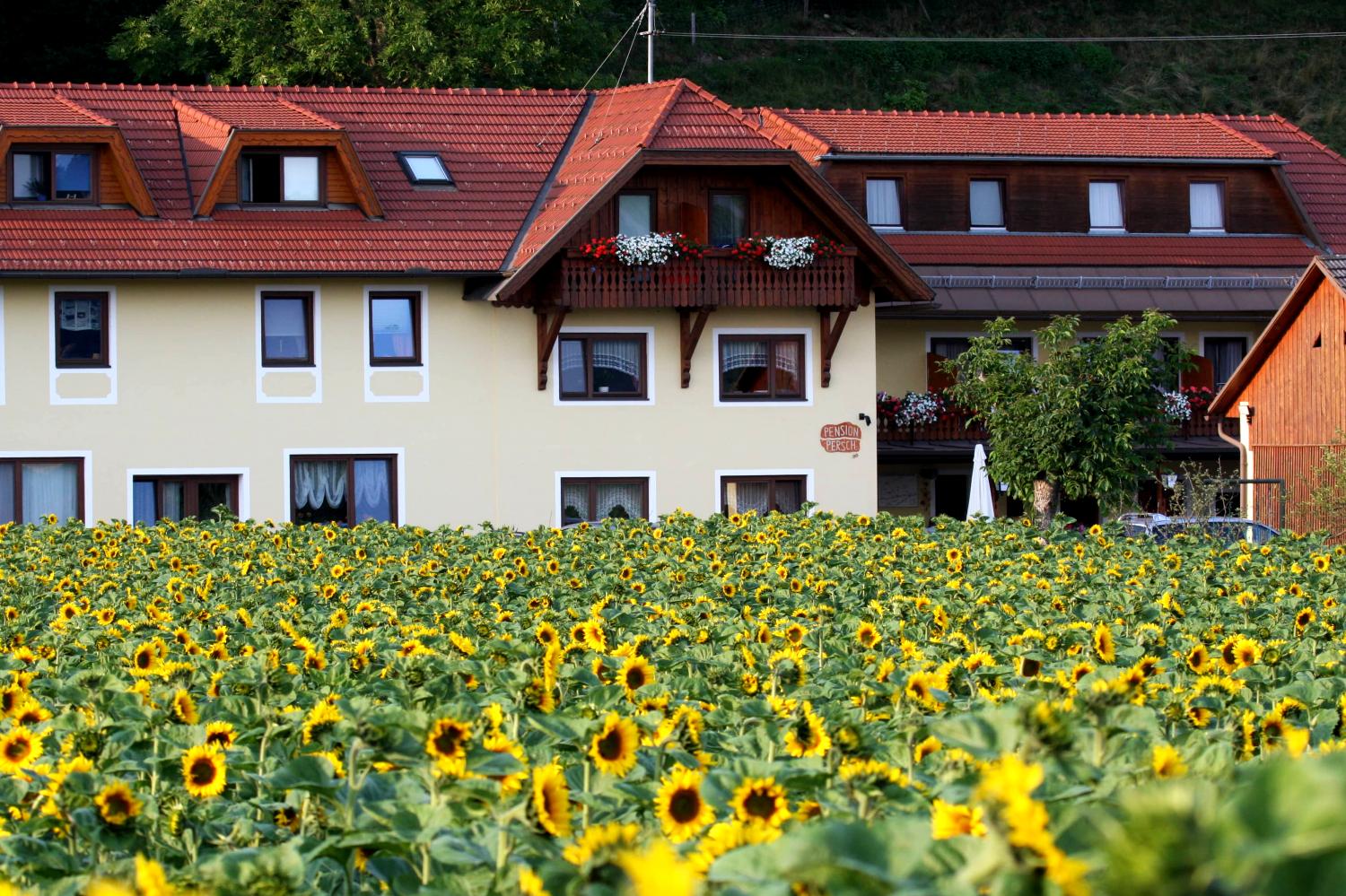 Pension Persch