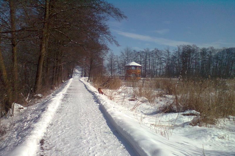 Pension 86