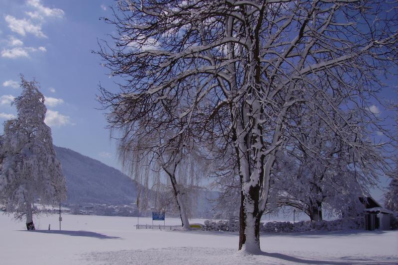 Pension 79