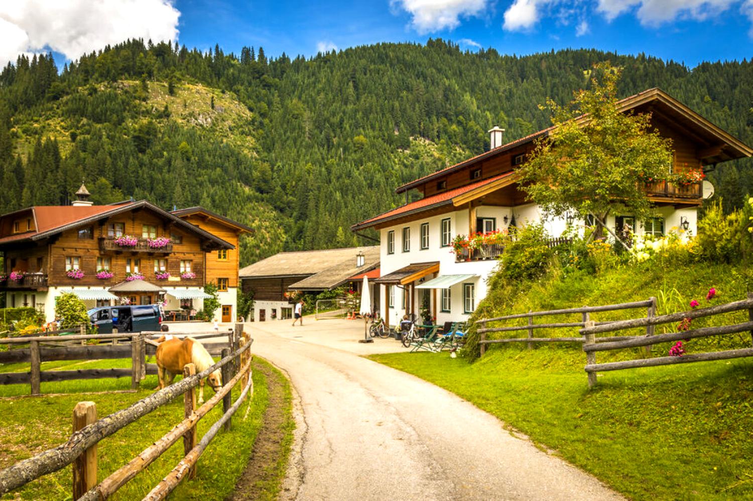 Windbachgut Windbachgut