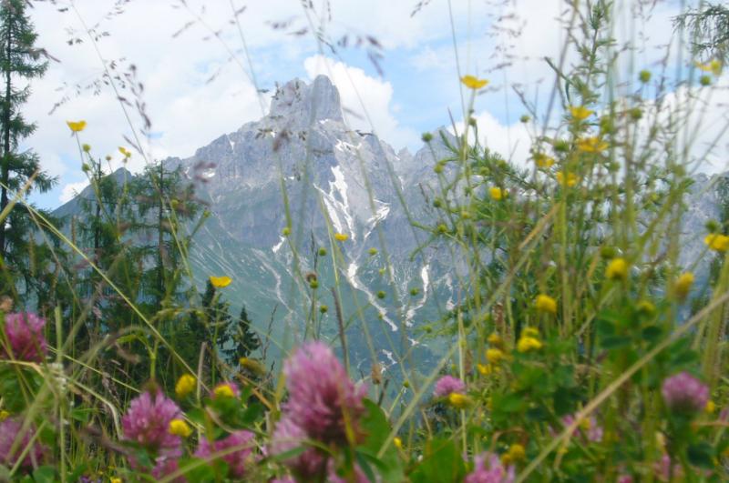 Appartement Ferienwohnung Beautyfarm