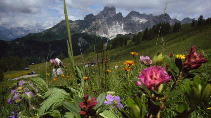 Appartement Ferienwohnung Hallenbad