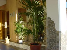 Appartement Ferienwohnung Whirlpool