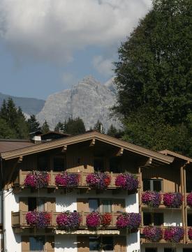 Appartement Ferienwohnung Kitzbühel
