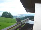 Agriturismo Reparto wellness