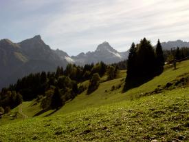 Bauernhof Österreich