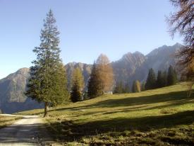 Bauernhof Wellness-Bereich