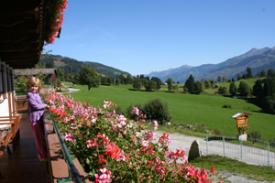 Ferienhaus Ferienchalet Sauna