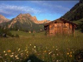 Appartement Ferienwohnung Schwimmbad