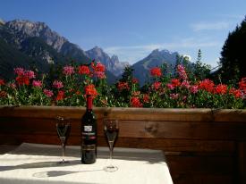Bauernhof Wellness-Bereich