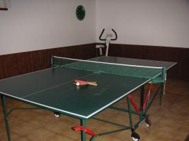 Pension Wellness-Bereich