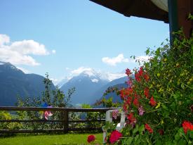 Appartement Ferienwohnung Zell am See