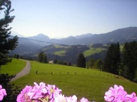 Bauernhof Hallein