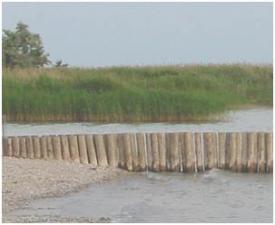 Pension Neusiedl a. See