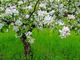 Appartement Ferienwohnung Wellness-Bereich