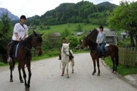 Appartamento vacanze Steiermark