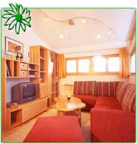 Appartement Ferienwohnung Österreich