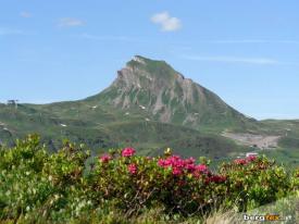 Appartamento vacanze 3
