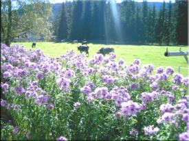 Bauernhof Wellness-Bereich