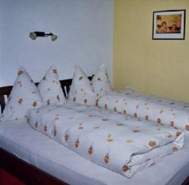 Appartement Ferienwohnung Tirol